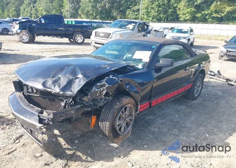 2005 Ford Mustang из США, поврежденный, VIN 1ZVFT84N455253724